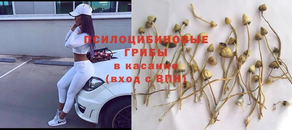 индика Баксан