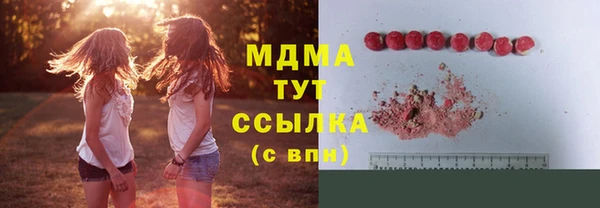 индика Баксан