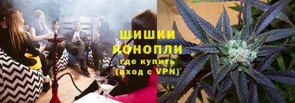 индика Баксан