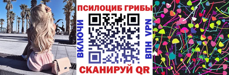 Купить где  Белокуриха  Псилоцибиновые грибы Psilocybe 